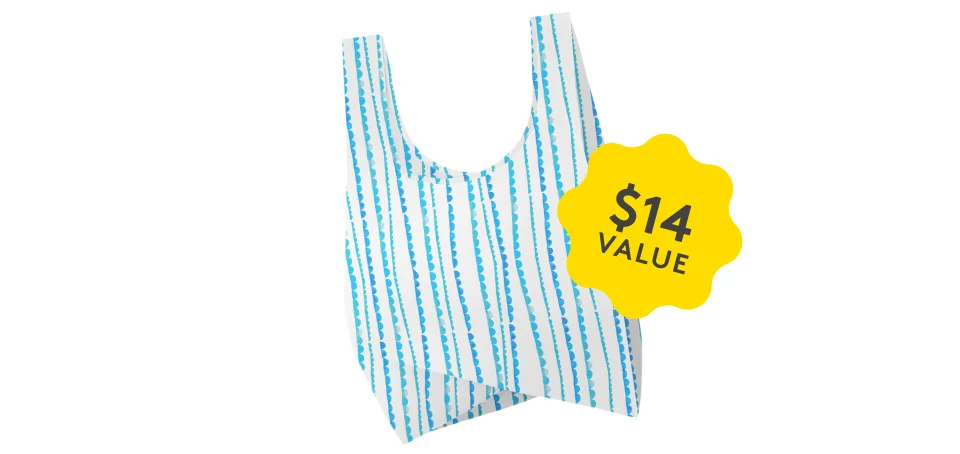 BAGGU bag in a fun Lovevery print