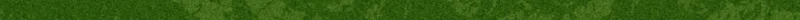 Light green patterned divider