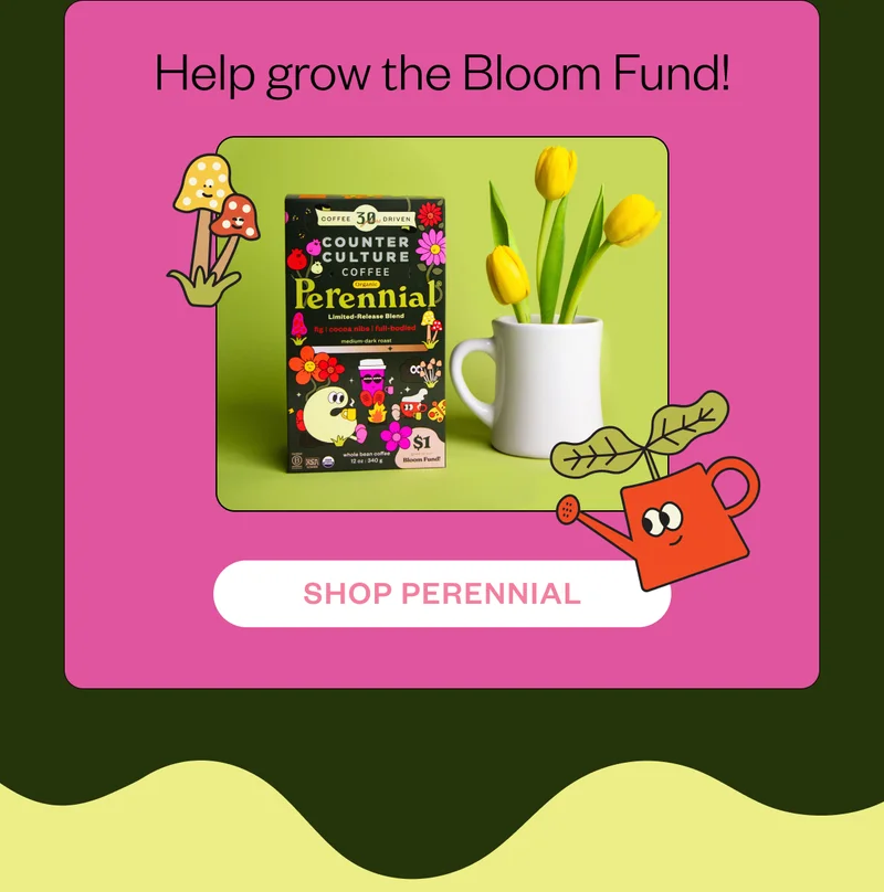 Help grow the Bloom Fund! CTA:  [Shop Perennial]