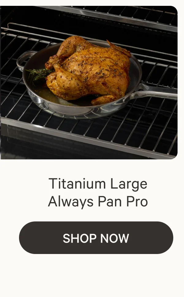 Titanium Large Always Pan Pro