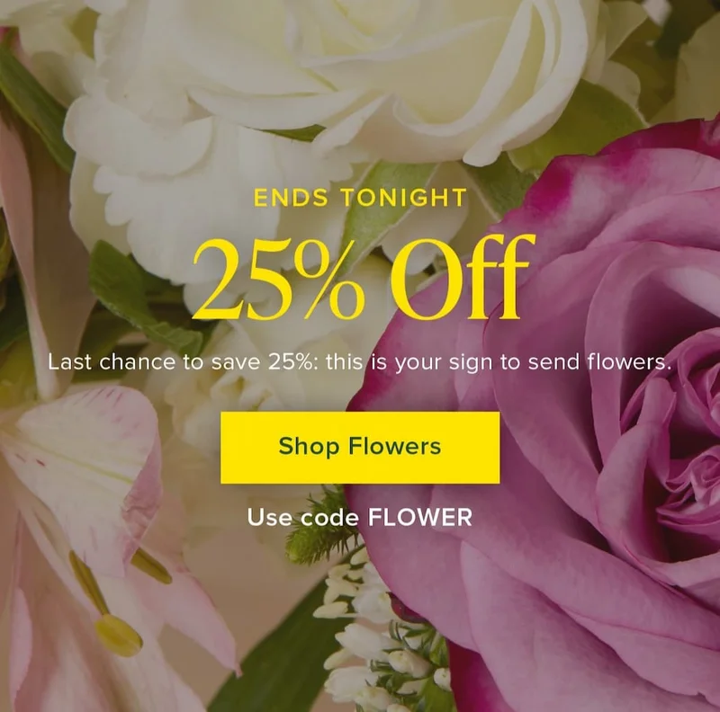 25% Off Ends Tonight! Last chance to save 25%: this is your sign to send flowers. Shop Flowers. Use code discount code