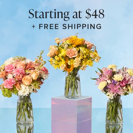 Starting at $48 + Free Shipping