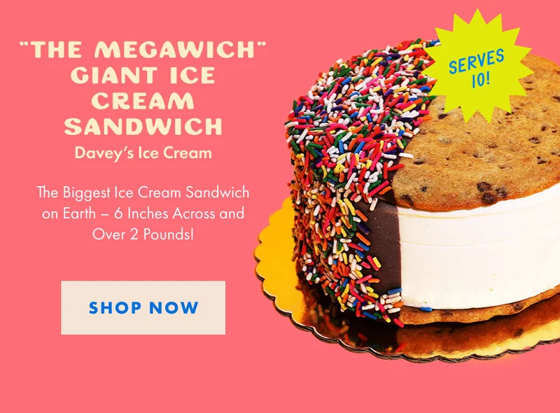 Davey's Giant Ice Cream Sandwich Davey's Giant Ice Cream Sandwich