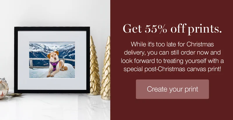 Get 55% off prints