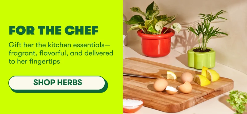 FOR THE CHEF Gift her the kitchen essentials—fragrant, flavorful, and delivered to her fingertips  [SHOP HERBS]
