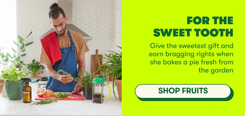 FOR THE SWEET TOOTH Give the sweetest gift and earn bragging rights when she bakes a pie fresh from the garden  [SHOP FRUITS]