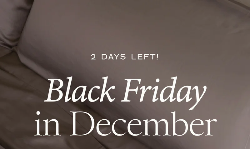 Black Friday Is Back