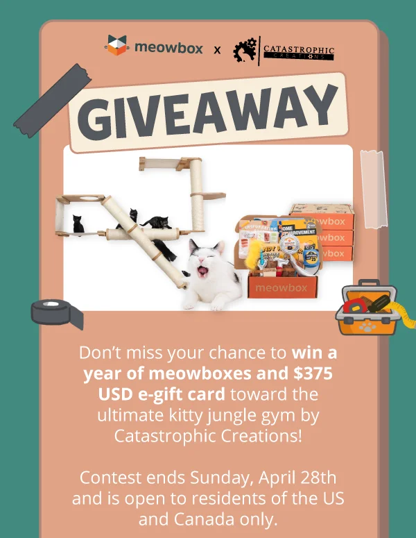meowbox x Catastrophic Creations Giveaway! Image of the 4 black kitties on a Catastrophic Creations furniture piece + a white, black spotted cat yawning next to the Ameowzing Home Makeover meowbox in front of a stack of meowboxes.  Don’t miss your chance to win a year of meowboxes and $375 USD e-gift card toward the ultimate kitty jungle gym by Catastrophic Creations!  Contest ends Sunday, April 28th and is open to residents of the US and Canada only.