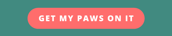 Get my paws on it!