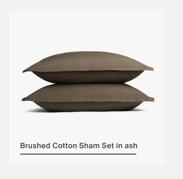 Brushed Cotton Sham Set in ash