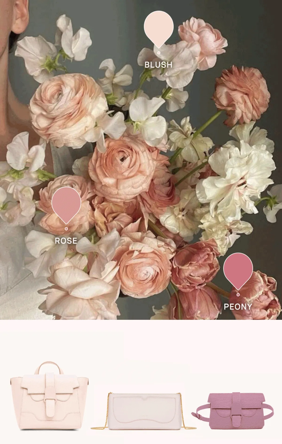 Spring Palette Sale - Color
