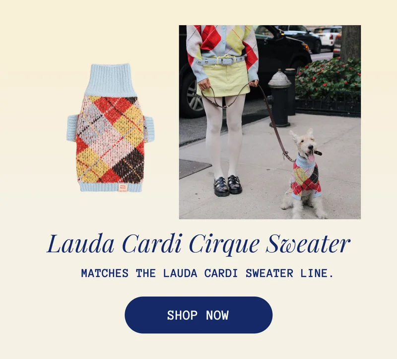 Lauda Cardi Cirque Sweater