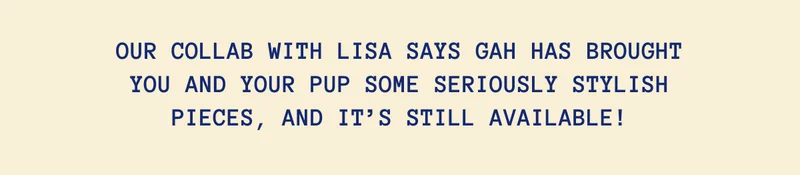 Our collab with Lisa Says Gah has brought you and your pup some seriously stylish pieces, and it’s still available!