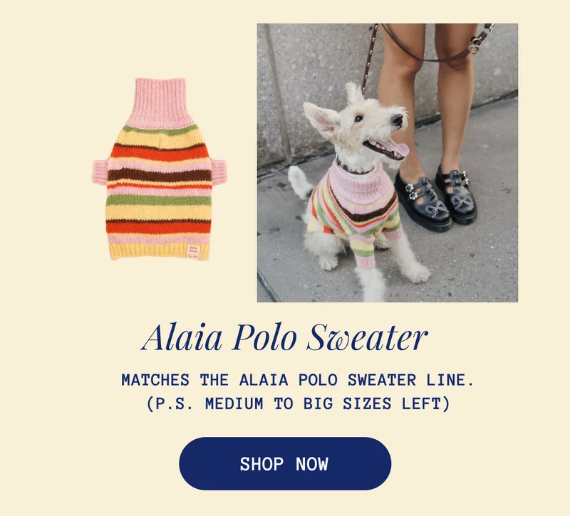 Alaia Polo Sweater