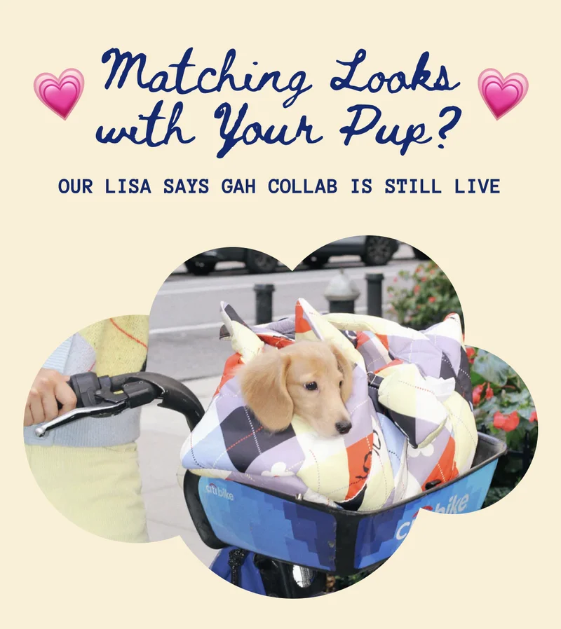 Matching Looks with Your Pup?