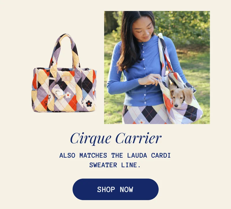 Cirque Carrier
