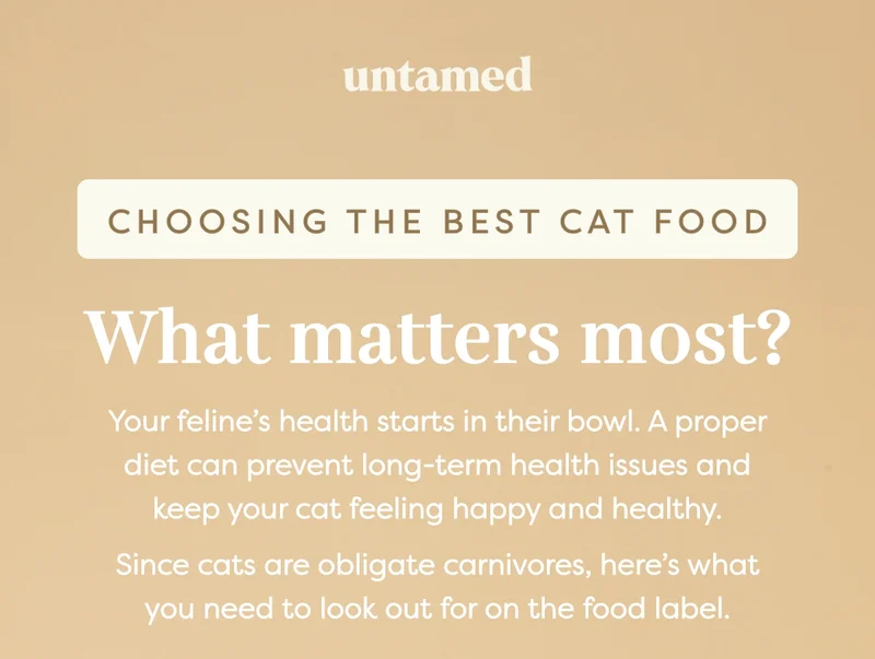 Choosing the best cat food: What matters most? Your feline’s health starts in their bowl. A proper diet can prevent long-term health issues and keep your cat feeling happy and healthy.