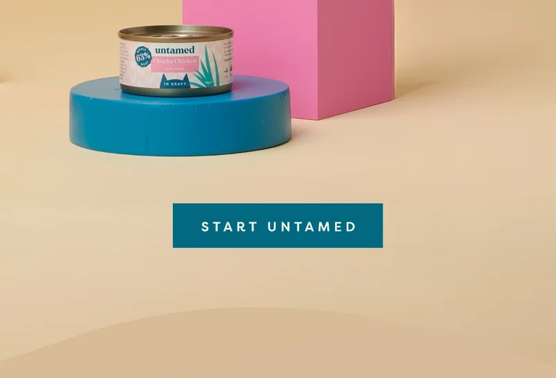 Start Untamed
