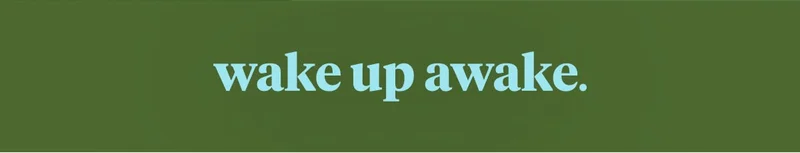 wake up awake.