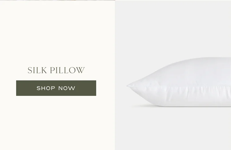 Shop The Silk Pillow