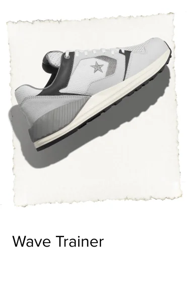 Wave Trainer