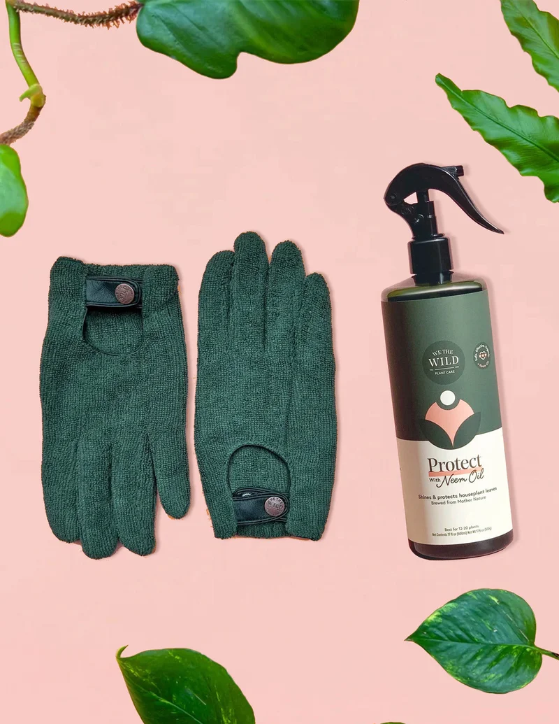 Image of Leaf Care Duo