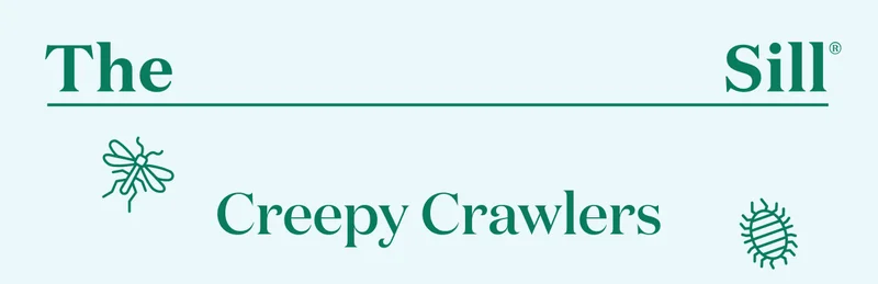 Creepy Crawlers