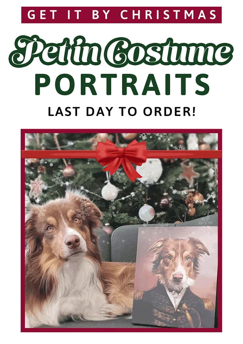 Christmas Order Deadline - Classic Pet in Costume Portraits
