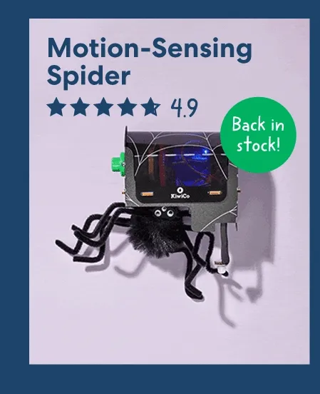 Motion-Sensing Spider