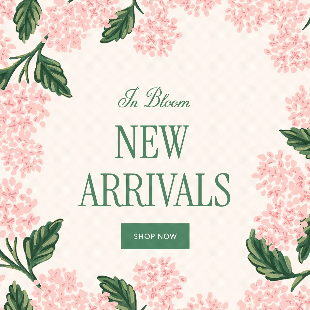 In Bloom - New Arrivals - Shop Now