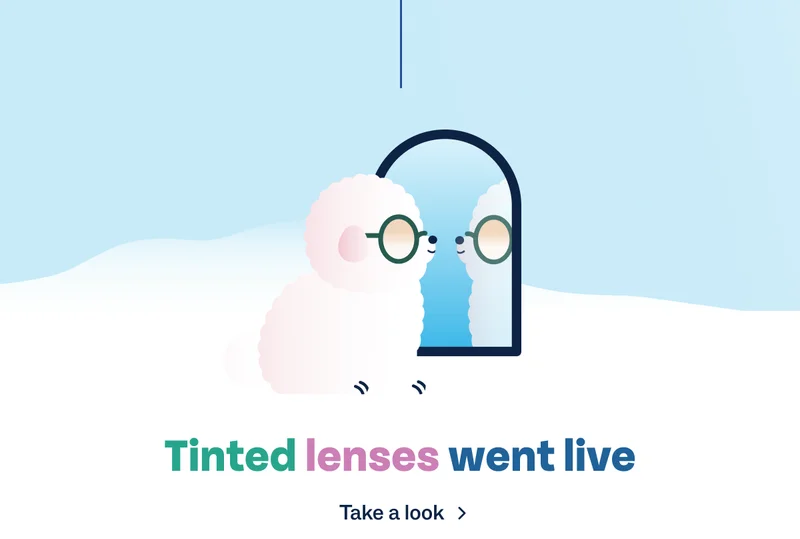 Tinted lenses