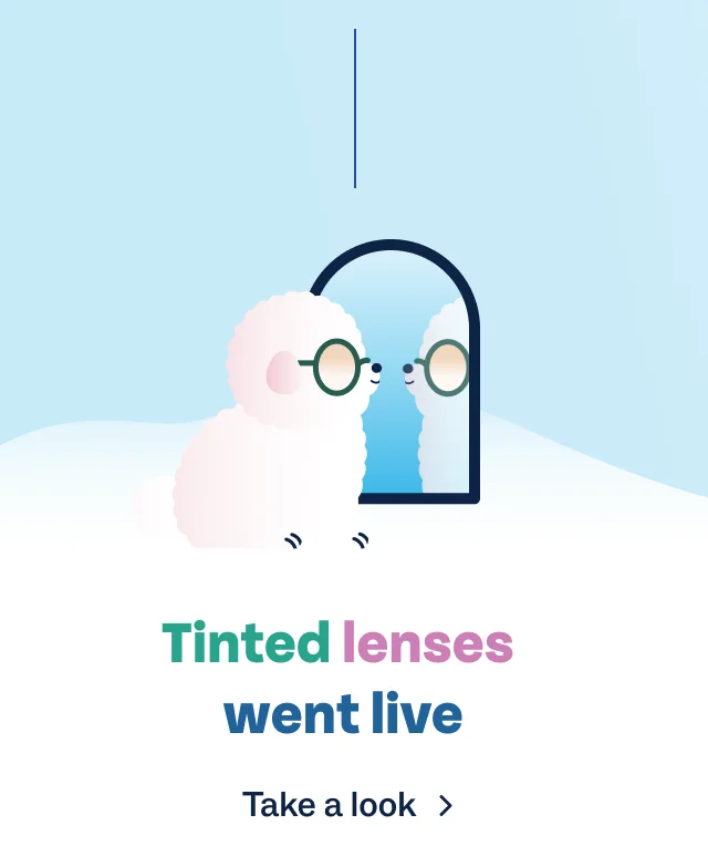 Tinted lenses