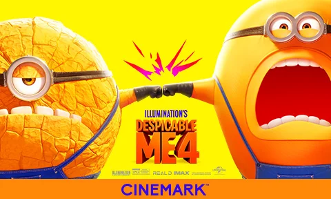 DESPICABLE ME 4