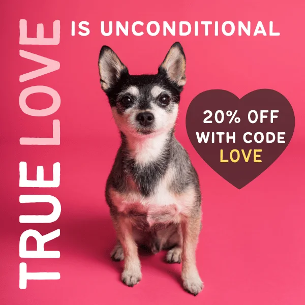 Valentine's day sale