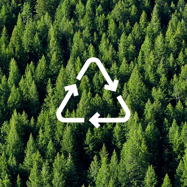 Eco-friendly Screen Protection