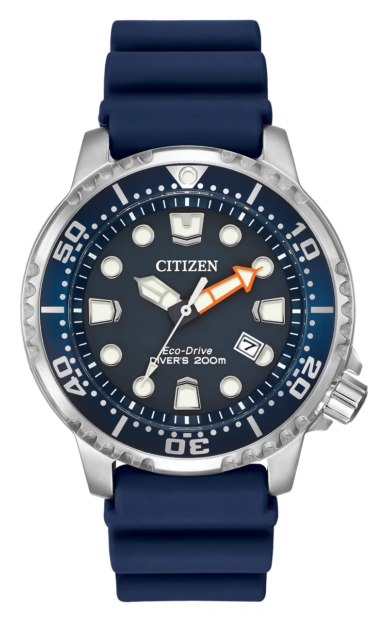 Image of Promaster Dive