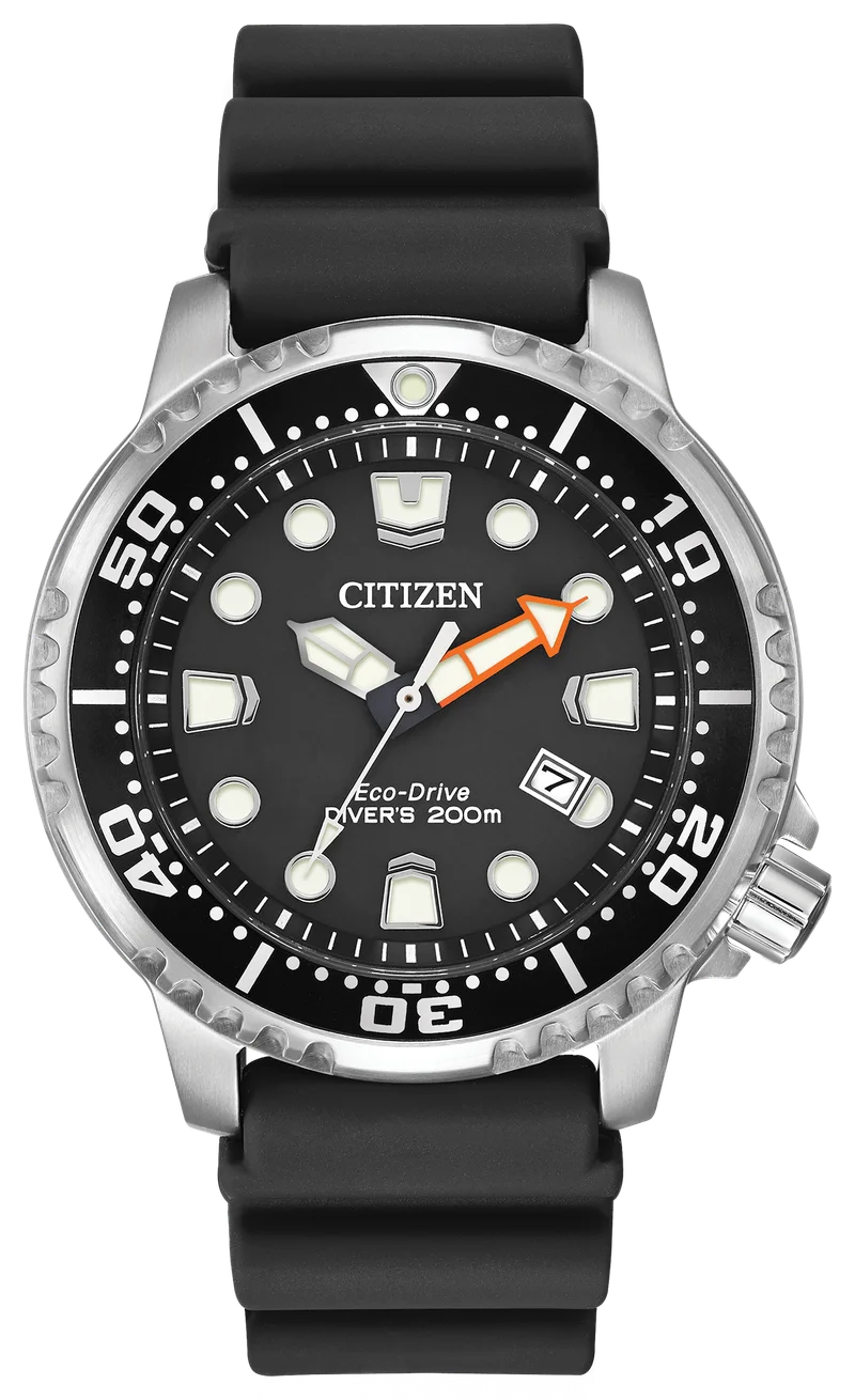 Image of Promaster Dive