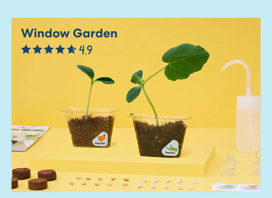 Window Garden