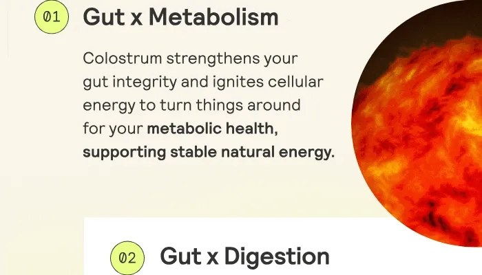 Gut x Metabolism Colostrum strengthens your  gut integrity and ignites cellular energy to turn things around  for your metabolic health, supporting stable natural energy.
