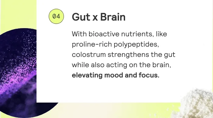Gut x Brain  With bioactive nutrients, like proline-rich polypeptides, colostrum strengthens the gut while also acting on the brain, elevating mood and focus.