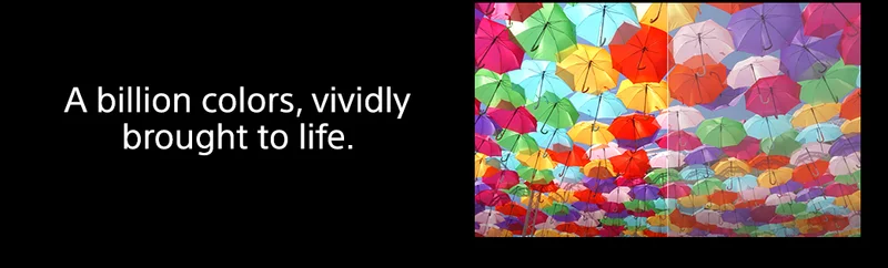 A billion colors, vividly brought to life.