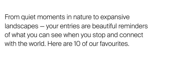 From quiet moments in nature to expansive landscapes — your entries are beautiful reminders  of what you can see when you stop and connect  with the world. Here are 10 of our favourites.