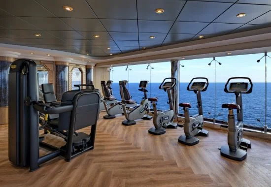 MSC Gym Powered by Technogym® – Click to Learn More MSC Gym Powered by Technogym® – Click to Learn More