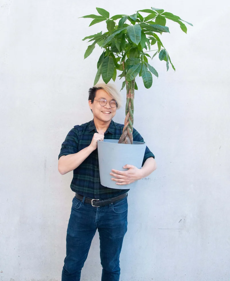 man with money tree
