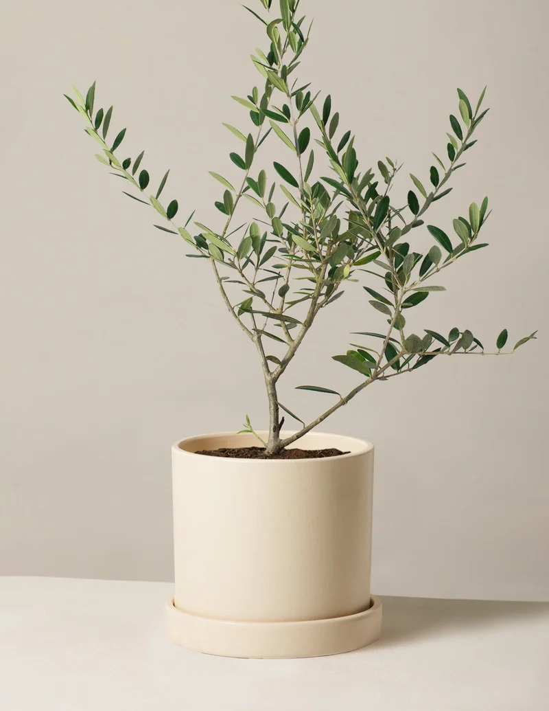 Image of Up to 43% off