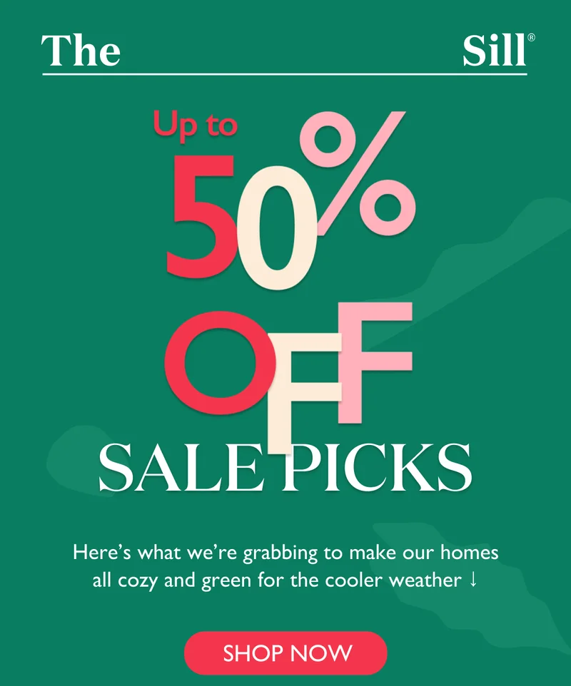 Up to 50% OFF during our Sidewalk Sale!