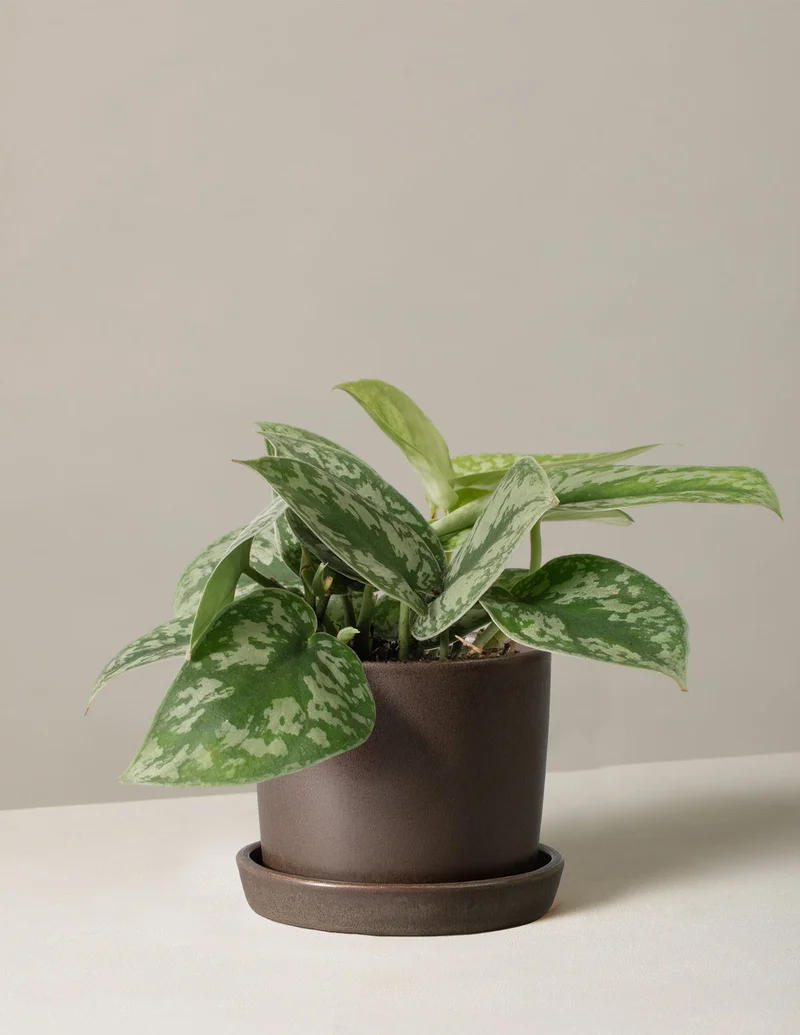 Image of Up to 29% off