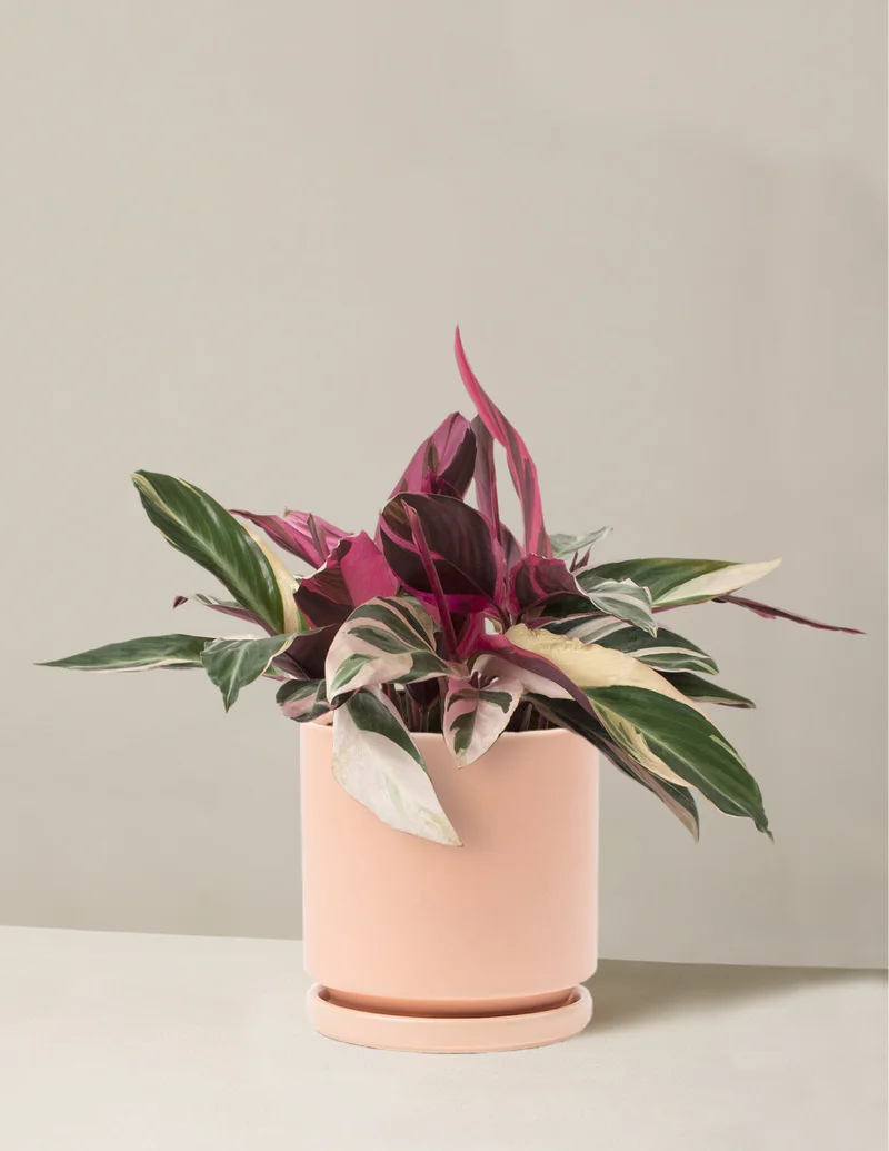 Image of Up to 20% off