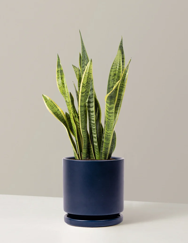 Image of Up to 29% off