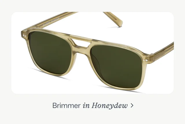 Brimmer
